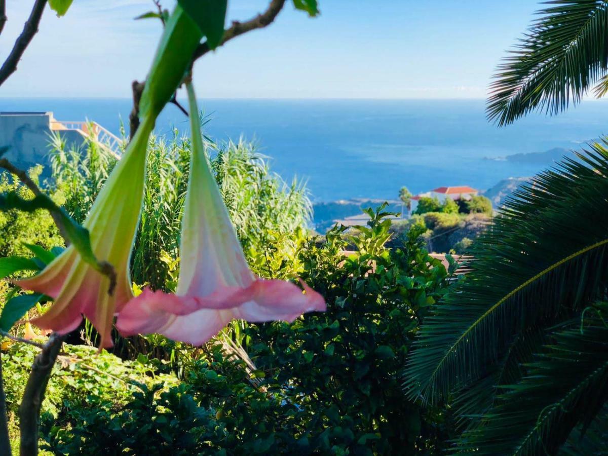 Casa Ida Guest House Garachico  Bagian luar foto